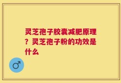 灵芝孢子胶囊减肥原理？灵芝孢子粉的功效是什么