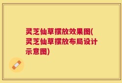 灵芝仙草摆放效果图(灵芝仙草摆放布局设计示意图)