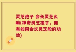 灵芝孢子 会长灵芝么嘛(神奇灵芝孢子，拥有如同会长灵芝般的功效)