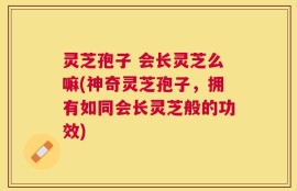 灵芝孢子 会长灵芝么嘛(神奇灵芝孢子，拥有如同会长灵芝般的功效)