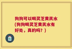 狗狗可以喝灵芝黄芪水(狗狗喝灵芝黄芪水有好处，真的吗？)