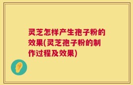 灵芝怎样产生孢子粉的效果(灵芝孢子粉的制作过程及效果)