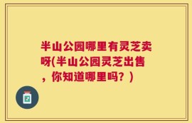 半山公园哪里有灵芝卖呀(半山公园灵芝出售，你知道哪里吗？)