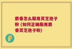麝香怎么服用灵芝孢子粉 (如何正确服用麝香灵芝孢子粉)