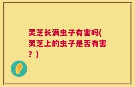 灵芝长满虫子有害吗(灵芝上的虫子是否有害？)
