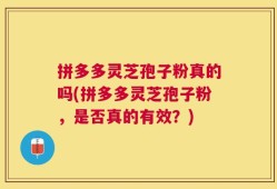 拼多多灵芝孢子粉真的吗(拼多多灵芝孢子粉，是否真的有效？)