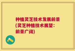 种植灵芝技术发展前景(灵芝种植技术展望：前景广阔)