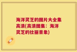 海洋灵芝的图片大全集高清(高清图集：海洋灵芝的壮丽景象)