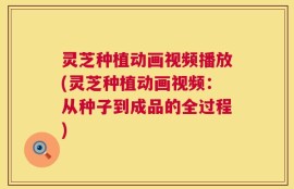 灵芝种植动画视频播放(灵芝种植动画视频：从种子到成品的全过程)