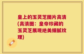 皇上的玉灵芝图片高清(高清图：皇帝珍藏的玉灵芝展现绝美细腻纹理)