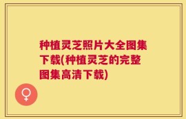 种植灵芝照片大全图集下载(种植灵芝的完整图集高清下载)