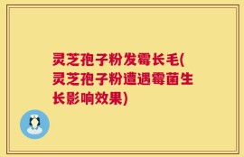 灵芝孢子粉发霉长毛(灵芝孢子粉遭遇霉菌生长影响效果)