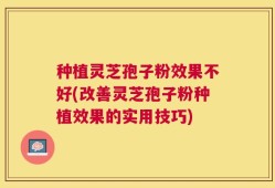 种植灵芝孢子粉效果不好(改善灵芝孢子粉种植效果的实用技巧)