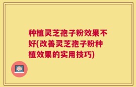 种植灵芝孢子粉效果不好(改善灵芝孢子粉种植效果的实用技巧)