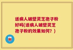 送病人破壁灵芝孢子粉好吗(送病人破壁灵芝孢子粉的效果如何？)