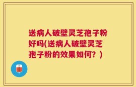 送病人破壁灵芝孢子粉好吗(送病人破壁灵芝孢子粉的效果如何？)
