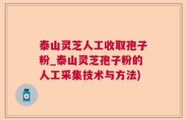 泰山灵芝人工收取孢子粉_泰山灵芝孢子粉的人工采集技术与方法)