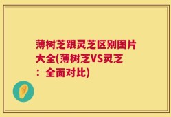 薄树芝跟灵芝区别图片大全(薄树芝VS灵芝：全面对比)