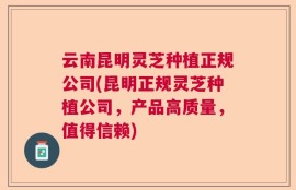 云南昆明灵芝种植正规公司(昆明正规灵芝种植公司，产品高质量，值得信赖)