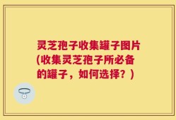 灵芝孢子收集罐子图片(收集灵芝孢子所必备的罐子，如何选择？)
