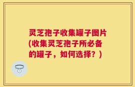 灵芝孢子收集罐子图片(收集灵芝孢子所必备的罐子，如何选择？)