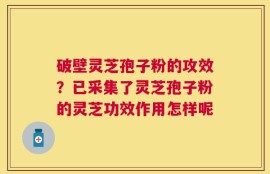 破壁灵芝孢子粉的攻效？已采集了灵芝孢子粉的灵芝功效作用怎样呢