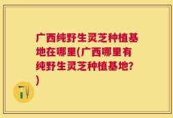 广西纯野生灵芝种植基地在哪里(广西哪里有纯野生灵芝种植基地？)