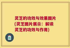 灵芝的功效与效果图片(灵芝图片展示：解读灵芝的功效与作用)