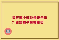 灵芝哪个部位是孢子粉？正宗孢子粉哪里买