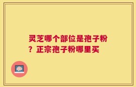 灵芝哪个部位是孢子粉？正宗孢子粉哪里买