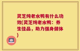 灵芝炖老水鸭有什么功效(灵芝炖老水鸭：养生佳品，助力强身健体)