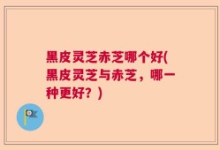 黑皮灵芝赤芝哪个好(黑皮灵芝与赤芝，哪一种更好？)