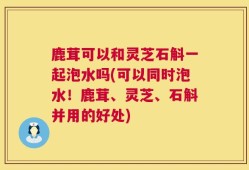 鹿茸可以和灵芝石斛一起泡水吗(可以同时泡水！鹿茸、灵芝、石斛并用的好处)