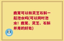 鹿茸可以和灵芝石斛一起泡水吗(可以同时泡水！鹿茸、灵芝、石斛并用的好处)
