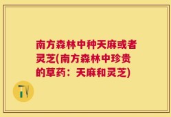 南方森林中种天麻或者灵芝(南方森林中珍贵的草药：天麻和灵芝)
