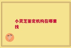 小灵芝鉴定机构在哪里找