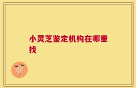 小灵芝鉴定机构在哪里找