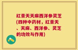 红景天天麻西洋参灵芝(四种中药材，红景天、天麻、西洋参、灵芝的功效与作用)