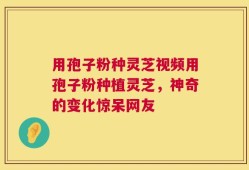 用孢子粉种灵芝视频用孢子粉种植灵芝，神奇的变化惊呆网友