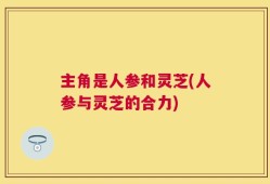 主角是人参和灵芝(人参与灵芝的合力)