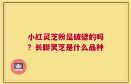 小红灵芝粉是破壁的吗？长脚灵芝是什么品种