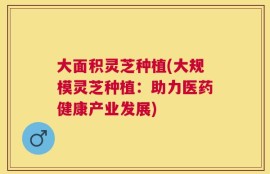 大面积灵芝种植(大规模灵芝种植：助力医药健康产业发展)