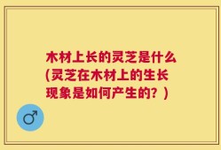 木材上长的灵芝是什么(灵芝在木材上的生长现象是如何产生的？)