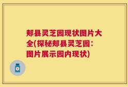 郏县灵芝园现状图片大全(探秘郏县灵芝园：图片展示园内现状)