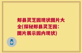 郏县灵芝园现状图片大全(探秘郏县灵芝园：图片展示园内现状)