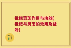 枇杷灵芝作用与功效(枇杷与灵芝的效用及益处)