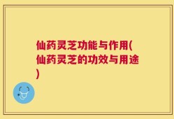 仙药灵芝功能与作用(仙药灵芝的功效与用途)