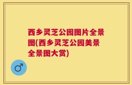 西乡灵芝公园图片全景图(西乡灵芝公园美景全景图大赏)