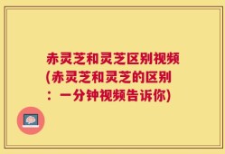 赤灵芝和灵芝区别视频(赤灵芝和灵芝的区别：一分钟视频告诉你)