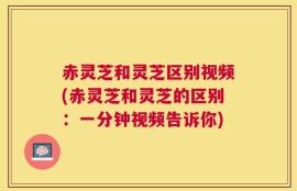 赤灵芝和灵芝区别视频(赤灵芝和灵芝的区别：一分钟视频告诉你)
